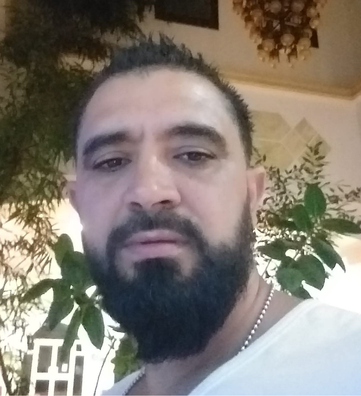 https://atcba-doxs.net/public/members/profile_pic/1759788958.Anis Boukaddida.jpg